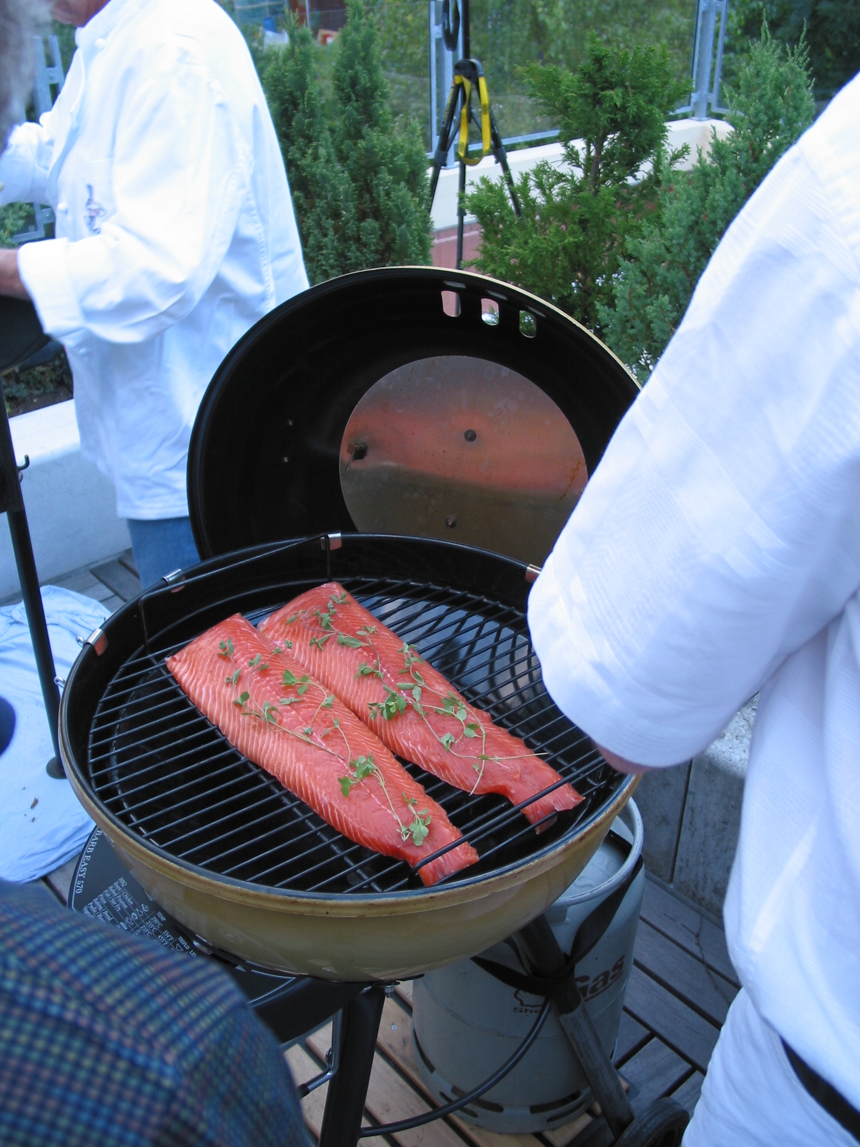 Grillabend am Susenberg vom 5. Juli 2002